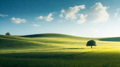 Lone Tree on Green Rolling Hills