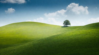 Lone Tree on Green Rolling Hills
