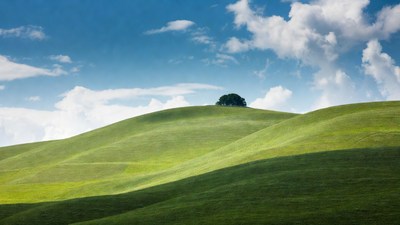 Lone Tree on Rolling Green Hills