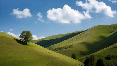 Lone Tree on Green Rolling Hills