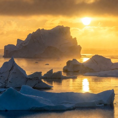 Icebergs in Golden Sunset Arctic Landscape