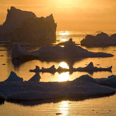 Icebergs in Sunset Arctic Sea