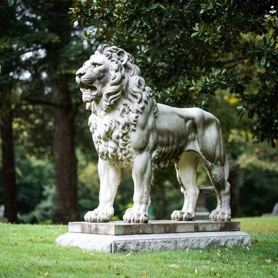 White marble lion statue in park