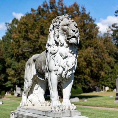 Stone Lion Statue in Cemetery