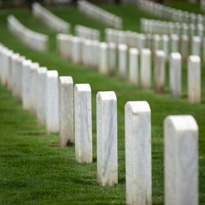 Rows of White Headstones in Grass