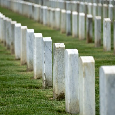 Rows of White Headstones in Grass
