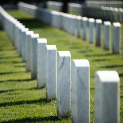 Rows of White Headstones in Grass