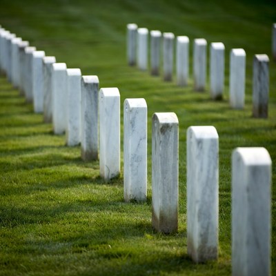 Rows of White Headstones in Green Grass