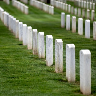 Rows of White Headstones in Green Cemetery