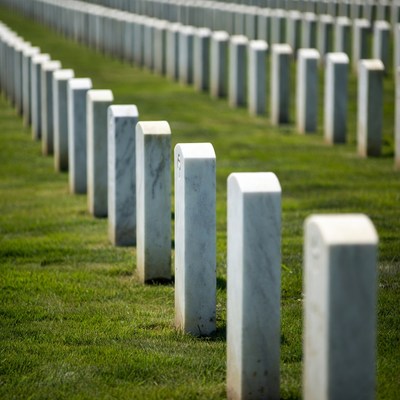 Rows of White Headstones in Grass