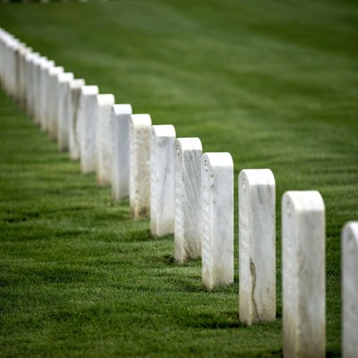 Row of white gravestones in green field
