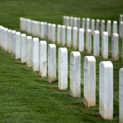 Rows of white gravestones in green field