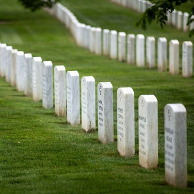 Rows of White Headstones in Green Cemetery