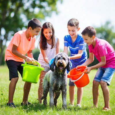 Kids Washing Dog with Buckets Outdoors