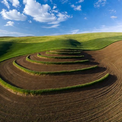 Spiral Crop Circles in Green Fields