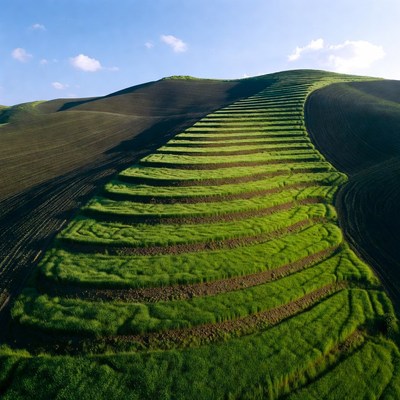Terraced Green Hills Under Blue Sky