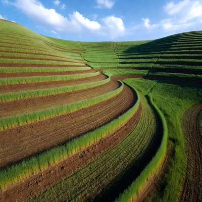 Terraced Green Hills Under Blue Sky