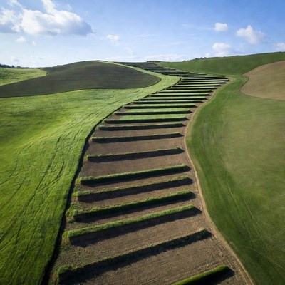 Grass Staircase on Rolling Hills