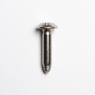 Silver Phillips Flat Head Screw