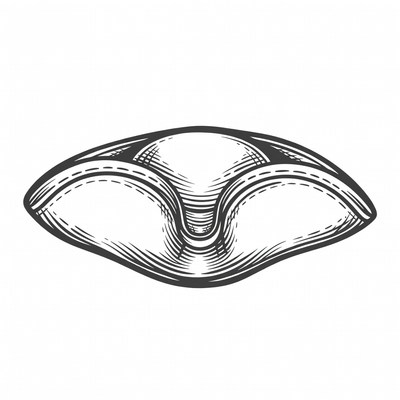 Tricorn Hat Illustration