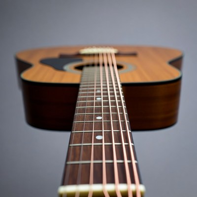 Acoustic Guitar on Gray Background