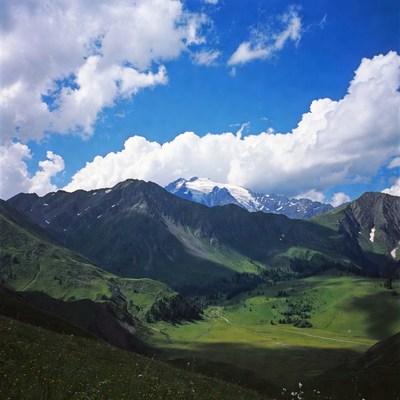 Snow-capped Mountains in Green Valley