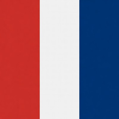 French Flag Vertical Stripes