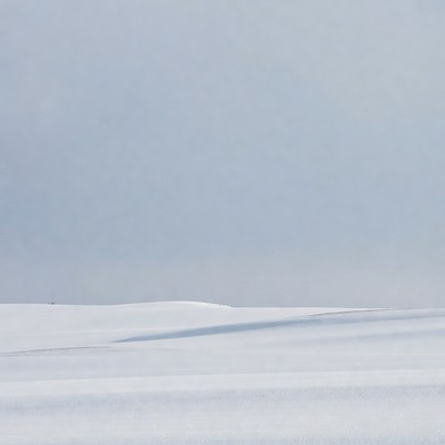 Snowy Dunes Landscape