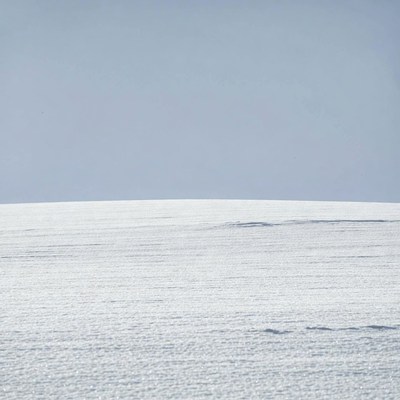 Snowy Field Under Gray Sky