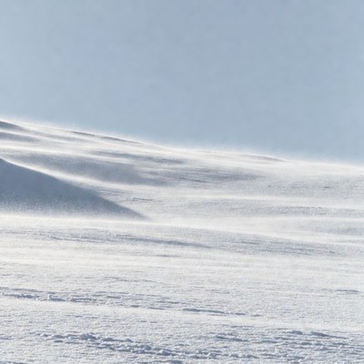 Snowy Landscape with Blowing Snow