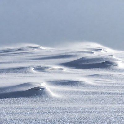 Snow Drifts in Windy Landscape