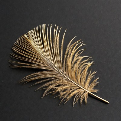 Golden feather on black background