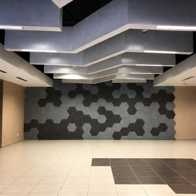 Modern Hexagon Wall Interior