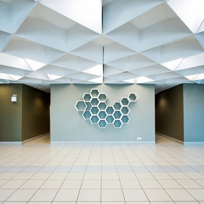 White Hexagonal Ceiling and Wall Design