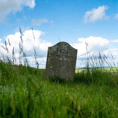Old gravestone in grassy field