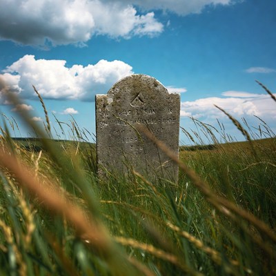 Old gravestone in tall grass field