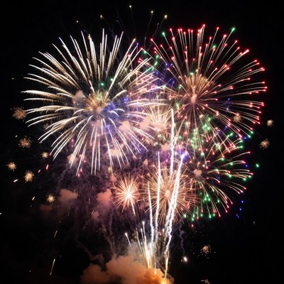 Colorful Fireworks Exploding in Night Sky