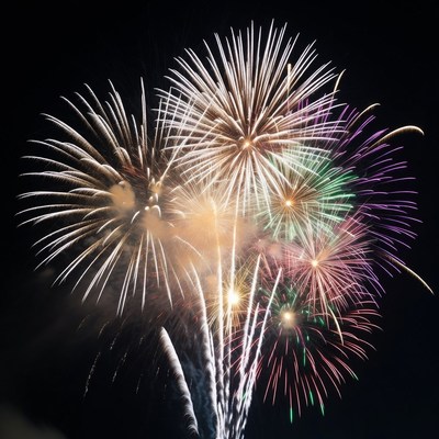 Colorful Fireworks Exploding in Night Sky