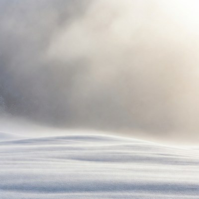 Snowy Landscape with Fog