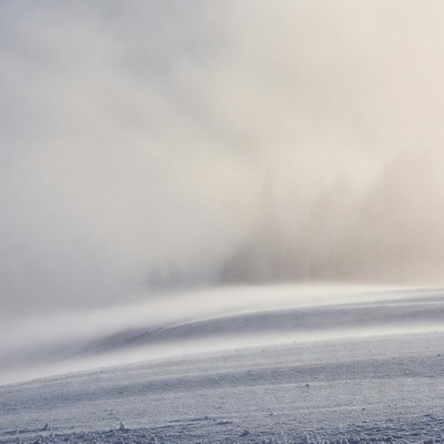 Snowy Landscape in Heavy Fog