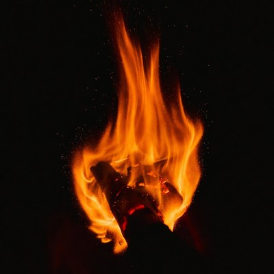 Burning Firewood Flames on Black Background