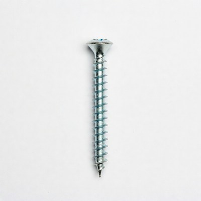 Silver Phillips Head Wood Screw