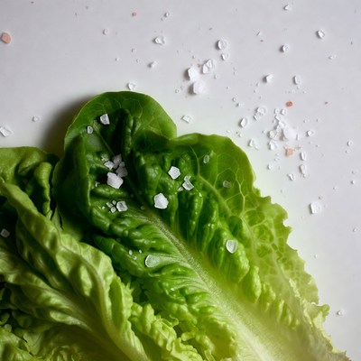 Fresh Lettuce Leaves with Salt