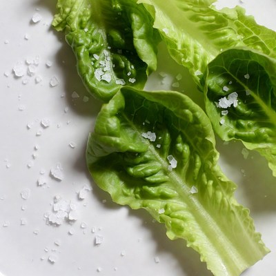 Lettuce Leaves with Salt on Plate