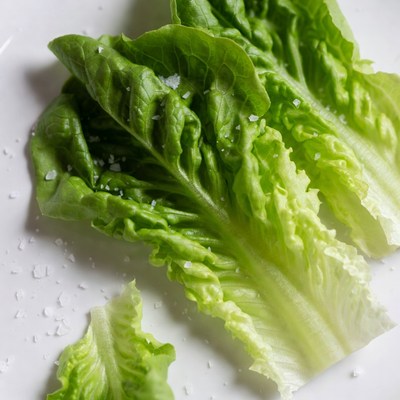 Fresh Lettuce Leaves with Salt