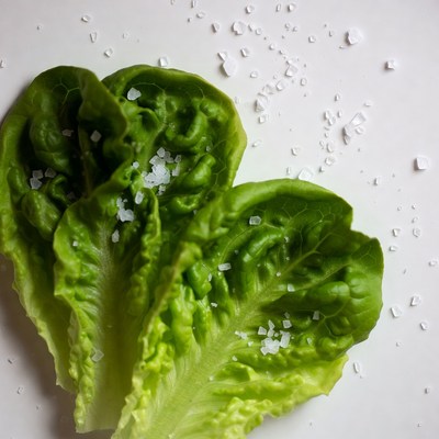 Fresh Lettuce Leaves with Salt