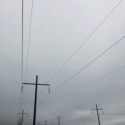 Utility poles with power lines