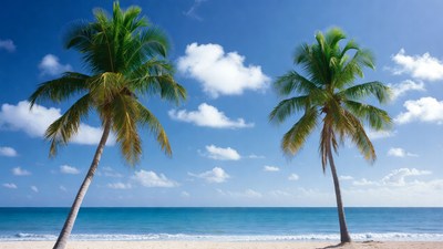 Two Palm Trees on Tropical Beach
