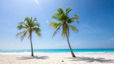 Two Palm Trees on Tropical Beach