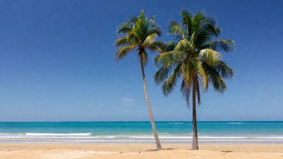 Two Palm Trees on Tropical Beach